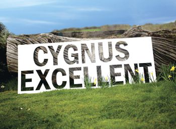 Cygnus Excellent logo in landscape
