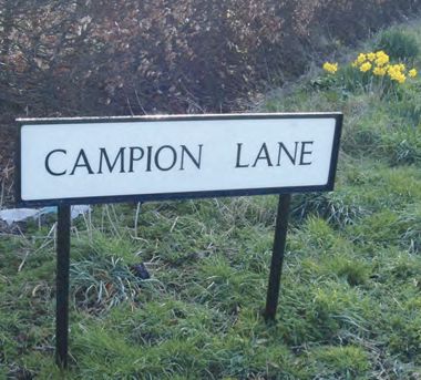 Street name sign with daffodils in the background.