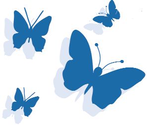 Butterflies - A fancy graphic