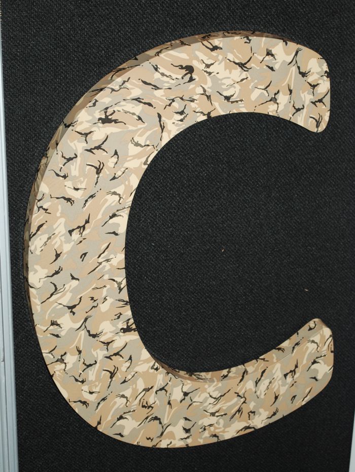 Camouflage built up letter created and wrapped by North East Signs.