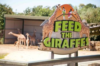 Sign Block can be made to look like a variety of materials - in this case a 3D giraffe was made into part of a sign.
