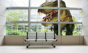 T-rex image on transparent film on window
