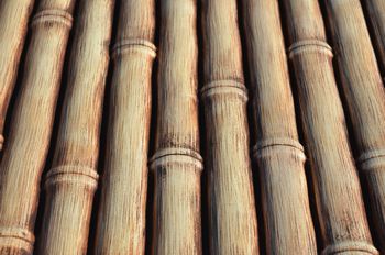 close up of bamboo poles